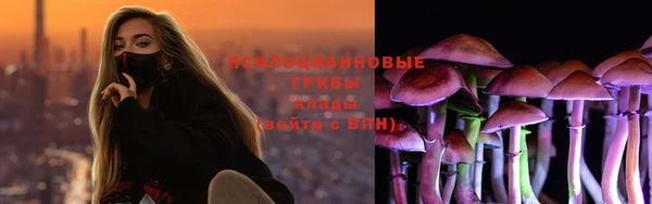 ПСИЛОЦИБИНОВЫЕ ГРИБЫ Верхний Тагил
