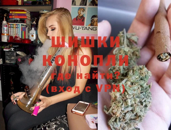 ПСИЛОЦИБИНОВЫЕ ГРИБЫ Верхний Тагил