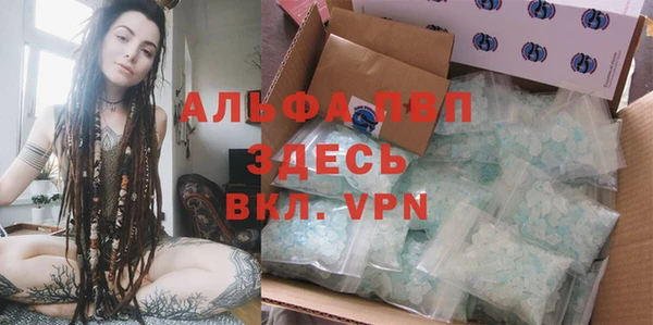 ПСИЛОЦИБИНОВЫЕ ГРИБЫ Верхний Тагил