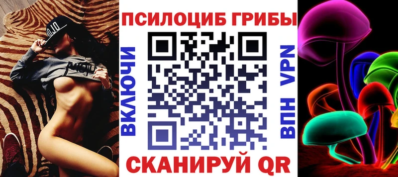 где можно купить наркотик  Змеиногорск  Псилоцибиновые грибы мицелий 